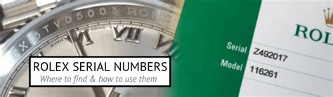 included in the rolex serie|rolex clock serial numbers.